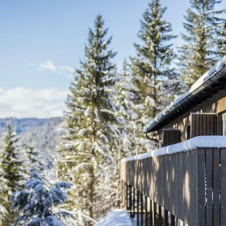 Bienenkunde Lunz Lägenhet